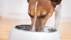 Shutterstock 187661579 6491c26cb2f8c Shutterstock 187661579 6491c26cb2f8c