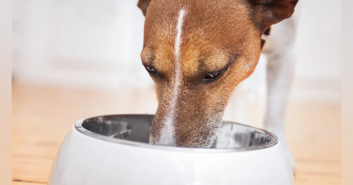 BrightPet Announces Acquisition of Raw Advantage Processing