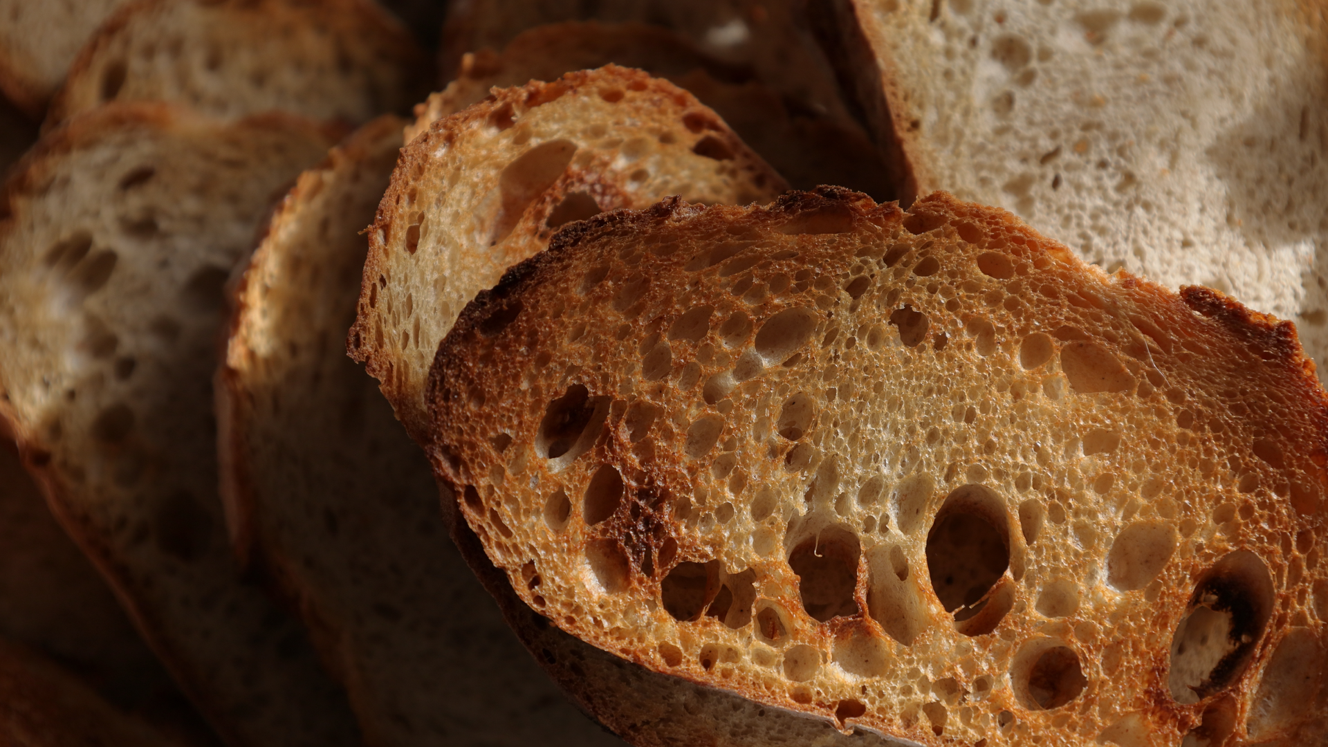 Shutterstock 2245167983 6481fe2bdc29b