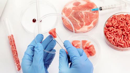 What’s Cultured Chicken Taste Like? A Reporter Sampled It Food Processing