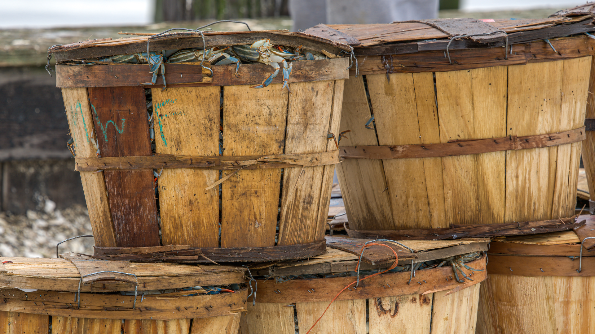 Shutterstock 1837551913 64ad8a28e0e8b