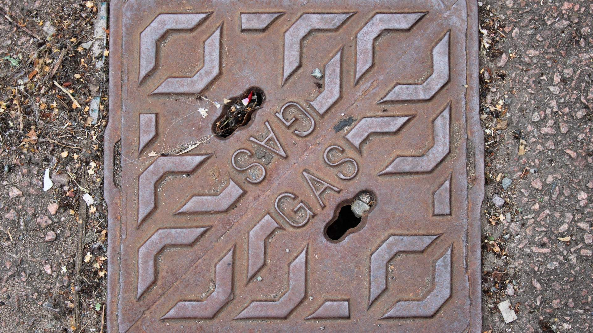 Shutterstock 2324088385 64b818c8a286a