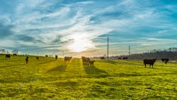 Shutterstock 403205077 64a6e2b47ec67 Shutterstock 403205077 64a6e2b47ec67