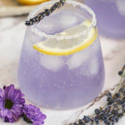 Martin Bower 64bed040d56cf Martin Bower 64bed040d56cf