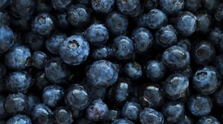Blueberries Edited
