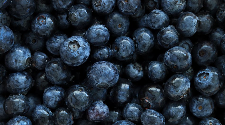 Blueberries Edited