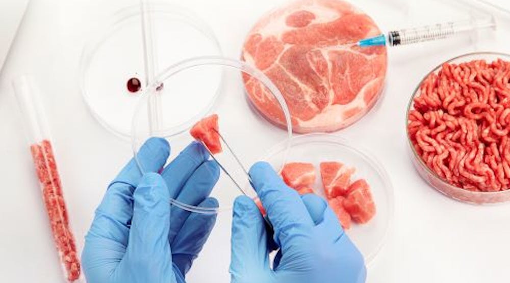Cultured Meat Adobe Stock 558281546