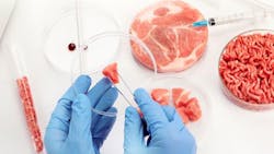 Cultured Meat Adobe Stock 558281546 64d67e10e57a5 Cultured Meat Adobe Stock 558281546 64d67e10e57a5