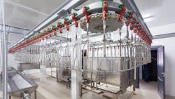 poultry processing plant equipment poultry processing plant equipment