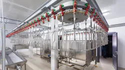 poultry processing plant equipment poultry processing plant equipment