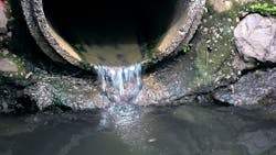 Shutterstock 1445430962 64cc0043b6faf Shutterstock 1445430962 64cc0043b6faf