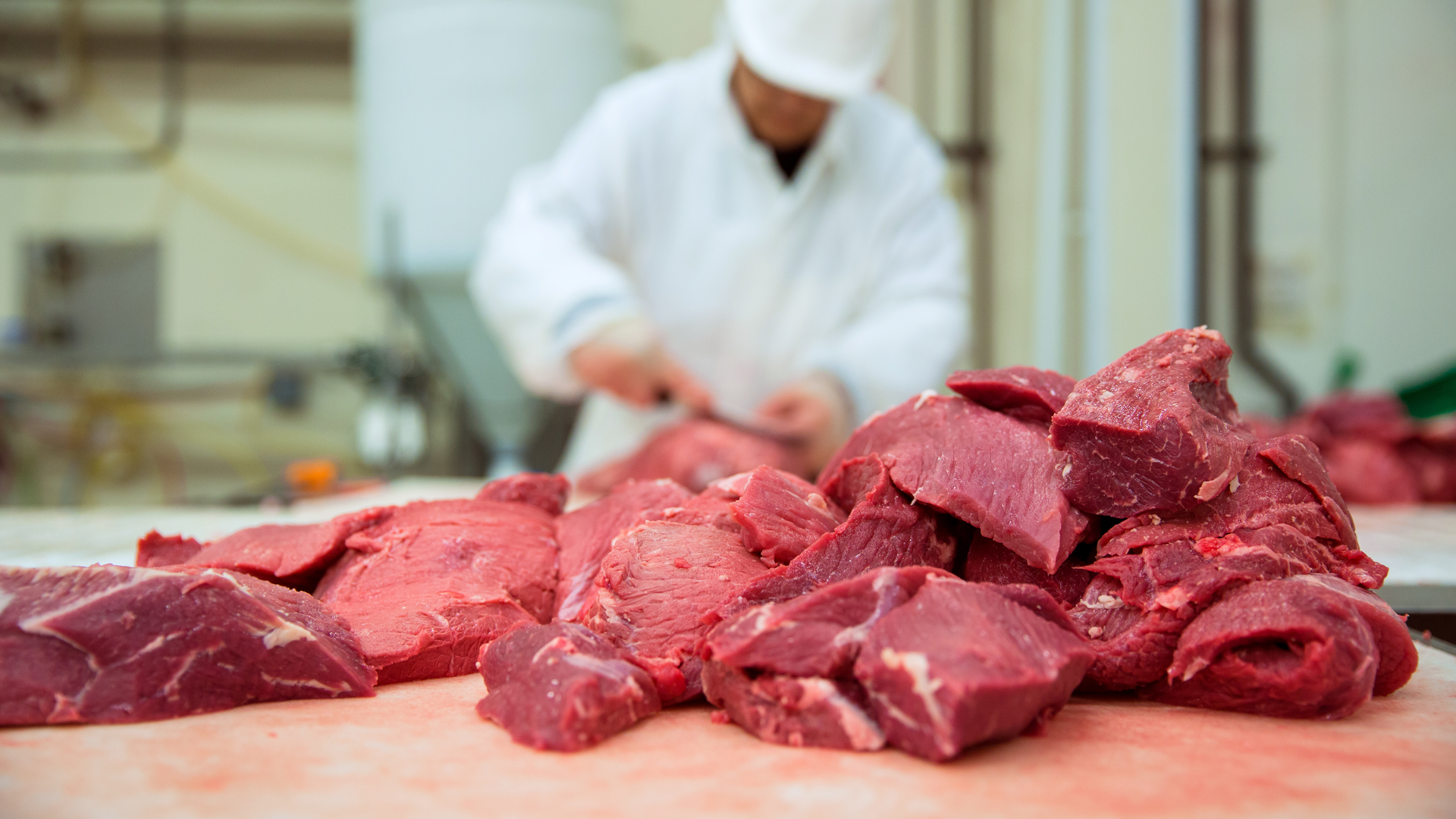 Shutterstock 297186296 64ece43ccdc6c