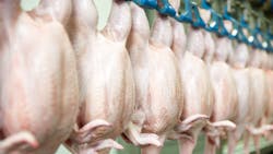 Shutterstock 511260697 64d11b2ccbae6 Shutterstock 511260697 64d11b2ccbae6