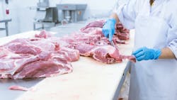 Shutterstock 556009921 64d264f504f73 Shutterstock 556009921 64d264f504f73