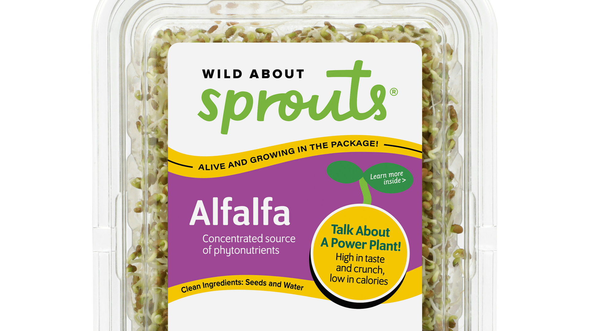 wild-about-sprouts-alfalfa