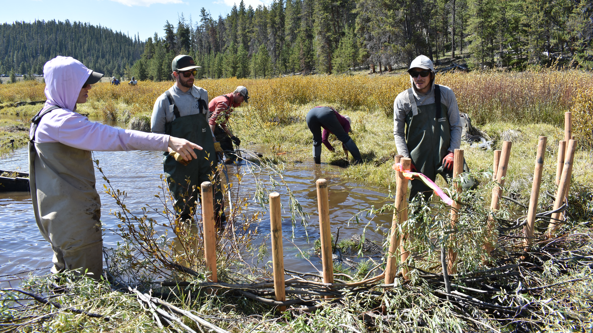 forest grassland watershed restoration