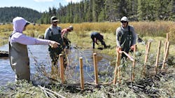 forest grassland watershed restoration forest grassland watershed restoration