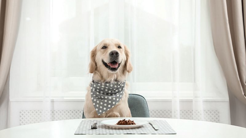 Opener Shutterstock 1471704221 Web 64f8955092197