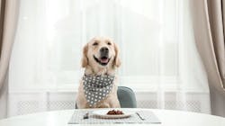 Opener Shutterstock 1471704221 Web 64f8955092197 Opener Shutterstock 1471704221 Web 64f8955092197