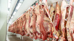 beef carcass cooler hanging sides of beef beef carcass cooler hanging sides of beef