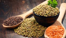 Adobe Stock 215569208 65149e3cc0a37 Adobe Stock 215569208 65149e3cc0a37