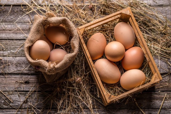 Eggs Adobe Stock 104527224 6515faef62173