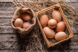 Eggs Adobe Stock 104527224 6515faef62173 Eggs Adobe Stock 104527224 6515faef62173