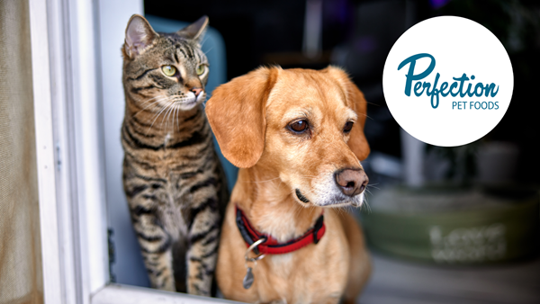 Perfection Pet 65257ea09b156