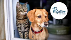 Perfection Pet 65257ea09b156 Perfection Pet 65257ea09b156