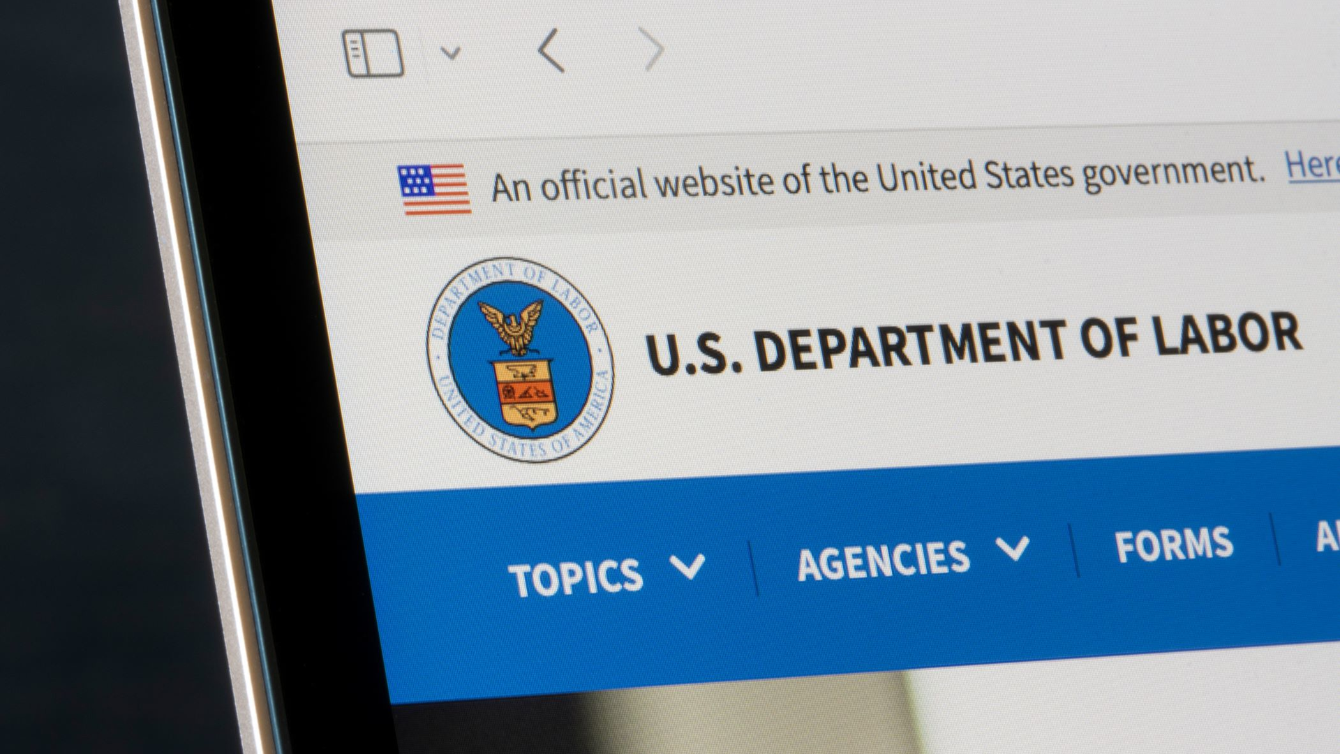 Shutterstock 2166085353 6541522111b2a