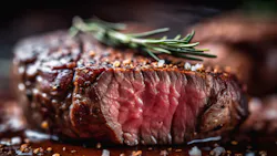 Shutterstock 2276744229 6526c31bd522c Shutterstock 2276744229 6526c31bd522c