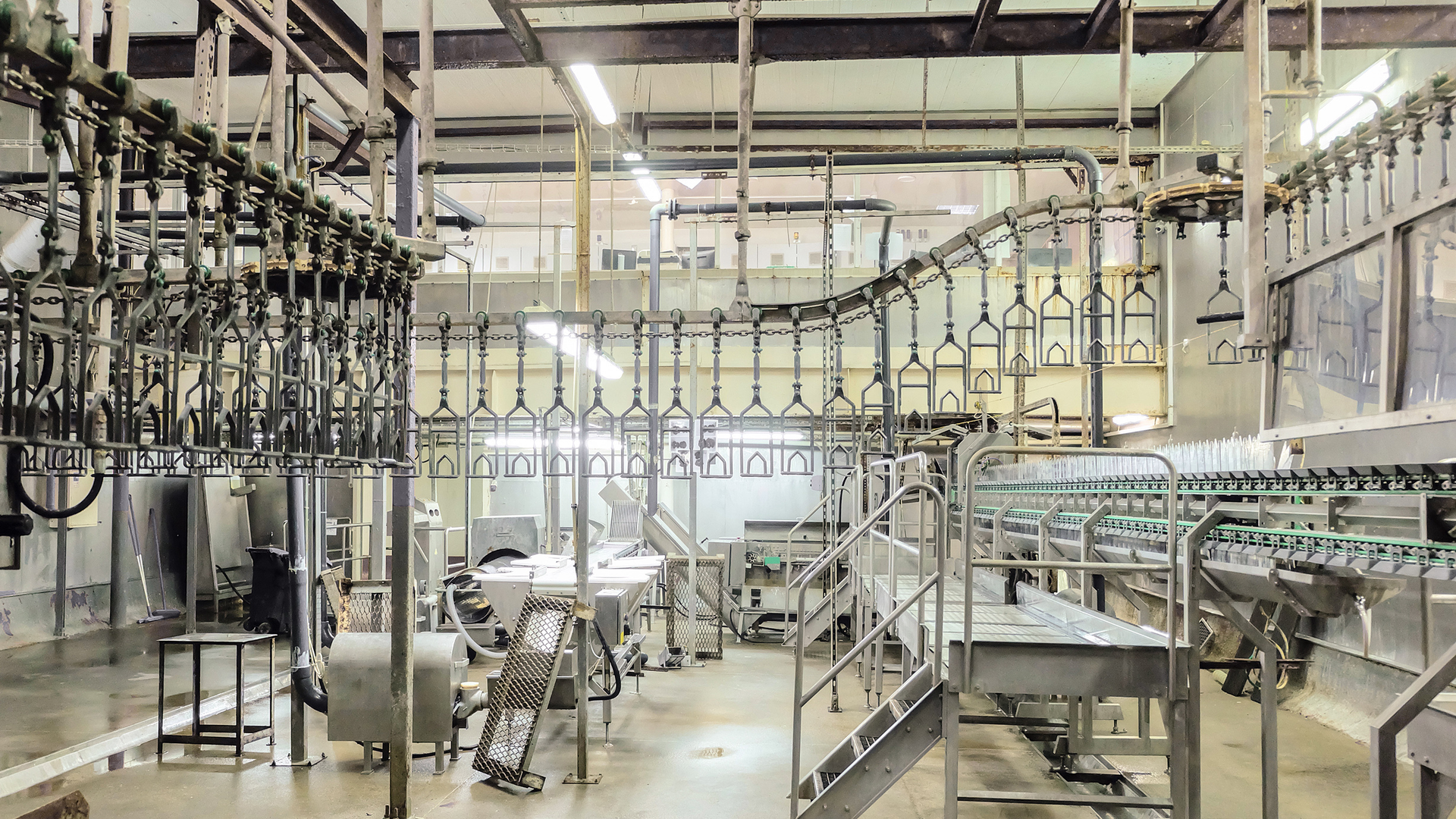 chicken processing plant interior empty