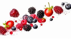 Berries Adobe Stock 593634243