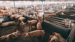 Shutterstock 1360045955 654523228412e Shutterstock 1360045955 654523228412e