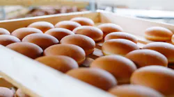 Shutterstock 2058584483 65451bb3c56ee Shutterstock 2058584483 65451bb3c56ee