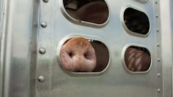 Shutterstock 364295420 654271c8b8545 Shutterstock 364295420 654271c8b8545