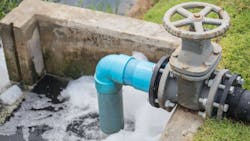 655ba193685f2a001e3b9809 Shutterstock 615469940 655ba193685f2a001e3b9809 Shutterstock 615469940