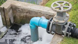 655ba193685f2a001e3b9809 Shutterstock 615469940 655ba193685f2a001e3b9809 Shutterstock 615469940