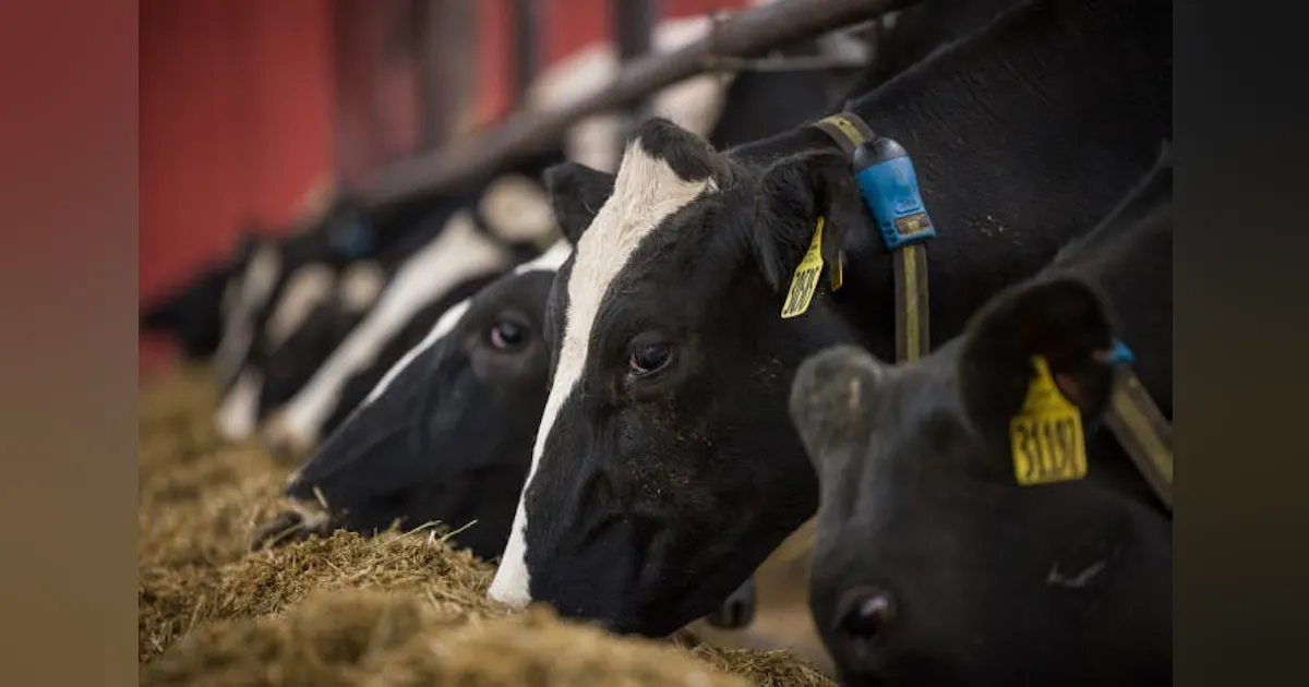 Danone Invests to Reduce Dairy Farm Methane Emissions