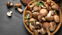 656623226f3df4001d42e8bc Shutterstock 1542958316 656623226f3df4001d42e8bc Shutterstock 1542958316