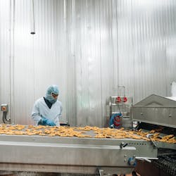 Chicken nugget production in Tyson Foods' new Danville, Va., fully cooked processing plant. Chicken nugget production in Tyson Foods' new Danville, Va., fully cooked processing plant.