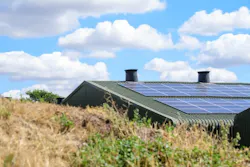 Achieving net zero will require efforts up and down JBS' supply chain. Achieving net zero will require efforts up and down JBS' supply chain.