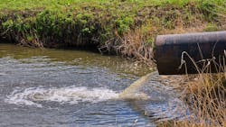 65983f2625134a001ecab5e8 Shutterstock 2157704217 65983f2625134a001ecab5e8 Shutterstock 2157704217