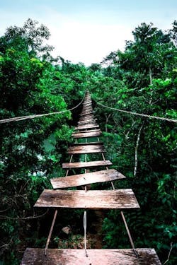 cover2shutterstock_2009218244 cover2shutterstock_2009218244