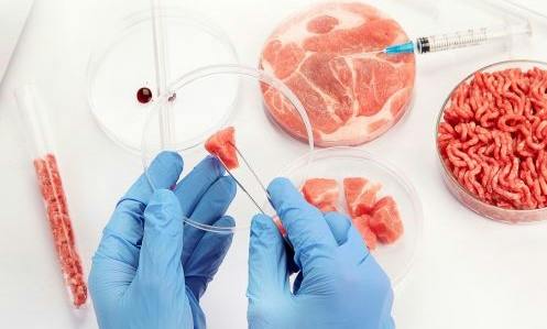 65a6ea8386ae8a001ece6e7f Culturedmeatadobestock 558281546