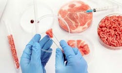 65a6ea8386ae8a001ece6e7f Culturedmeatadobestock 558281546 65a6ea8386ae8a001ece6e7f Culturedmeatadobestock 558281546