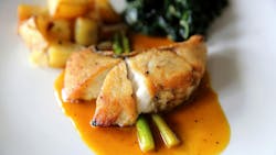 65a8024c27ff1a001eaa726c Shutterstock 716808253 65a8024c27ff1a001eaa726c Shutterstock 716808253