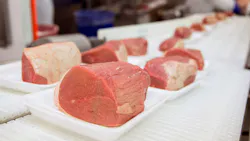 65a812d3c953fd001e94768a Shutterstock 297186278 65a812d3c953fd001e94768a Shutterstock 297186278