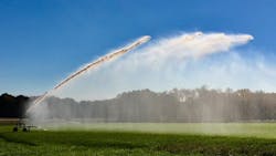 65b3ef94027af8001e4c8450 Shutterstock 790120999 65b3ef94027af8001e4c8450 Shutterstock 790120999