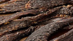 65bbd15eb224fe001e247db7 Shutterstock 251317483 65bbd15eb224fe001e247db7 Shutterstock 251317483